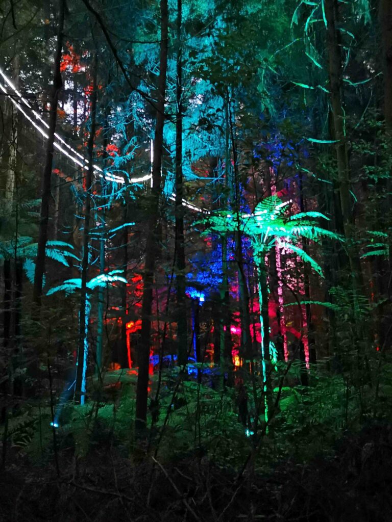 Naujoji Zelandija | Kelionė automobiliu po Šiaurinę salą. Whakarewarewa raudonemdžio mišk