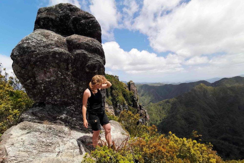 Kauaeranga Kauri Trail arba Pinnacles walk. Koromandelio pusiasalis, Naujoji Zelandija.